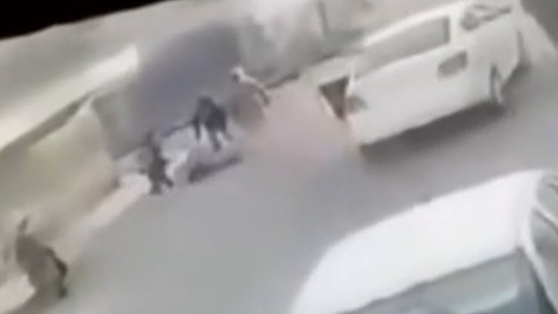 Aparentemente, la maestra habría realizado una maniobra peligrosa, por lo que la madre de familia le habría reclamado.