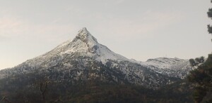 Vista de la montaña del Nevado de Colima cubierta con nieve en la punta y con árboles alrededor en un día nublado