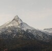 Vista de la montaña del Nevado de Colima cubierta con nieve en la punta y con árboles alrededor en un día nublado