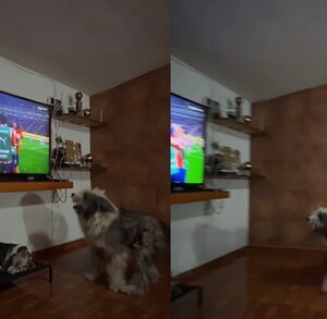 Momento exacto de la celebración del perrito tras el gol de Chivas.