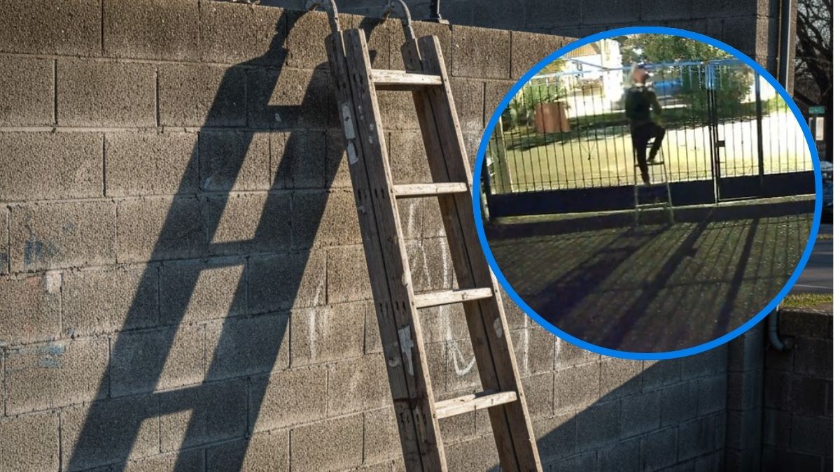 Escalera robada en la veterinaria