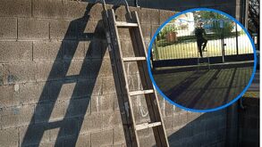 Escalera robada en la veterinaria