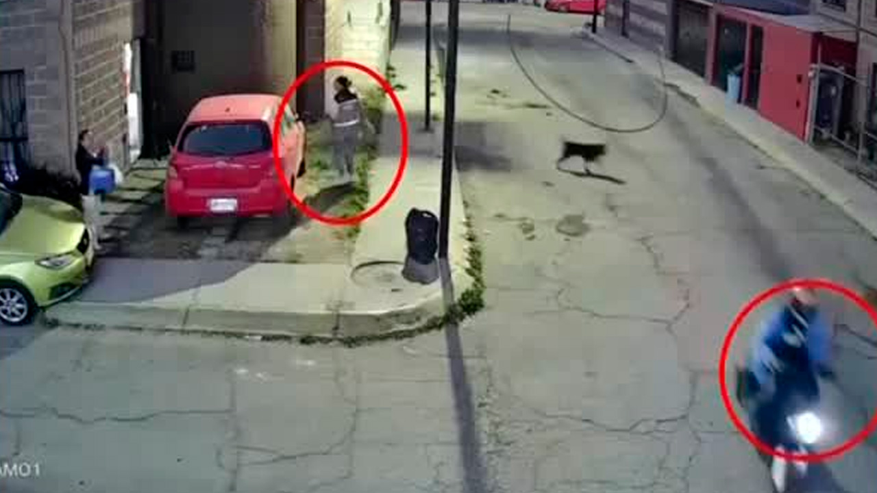 Fue captado en video un presunto caso de acoso contra una joven en el fraccionamiento Geo Villas, en Pachuca, Hidalgo.