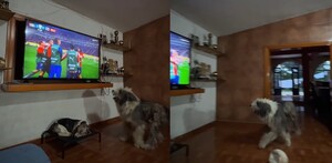 Momento exacto de la celebración del perrito tras el gol de Chivas.