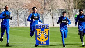 Joaquim Pereira, Rómulo Zwarg, Jesús Garza y Nicolás Ibáñez entrenando con Tigres el lunes 19 de enero de 2026.