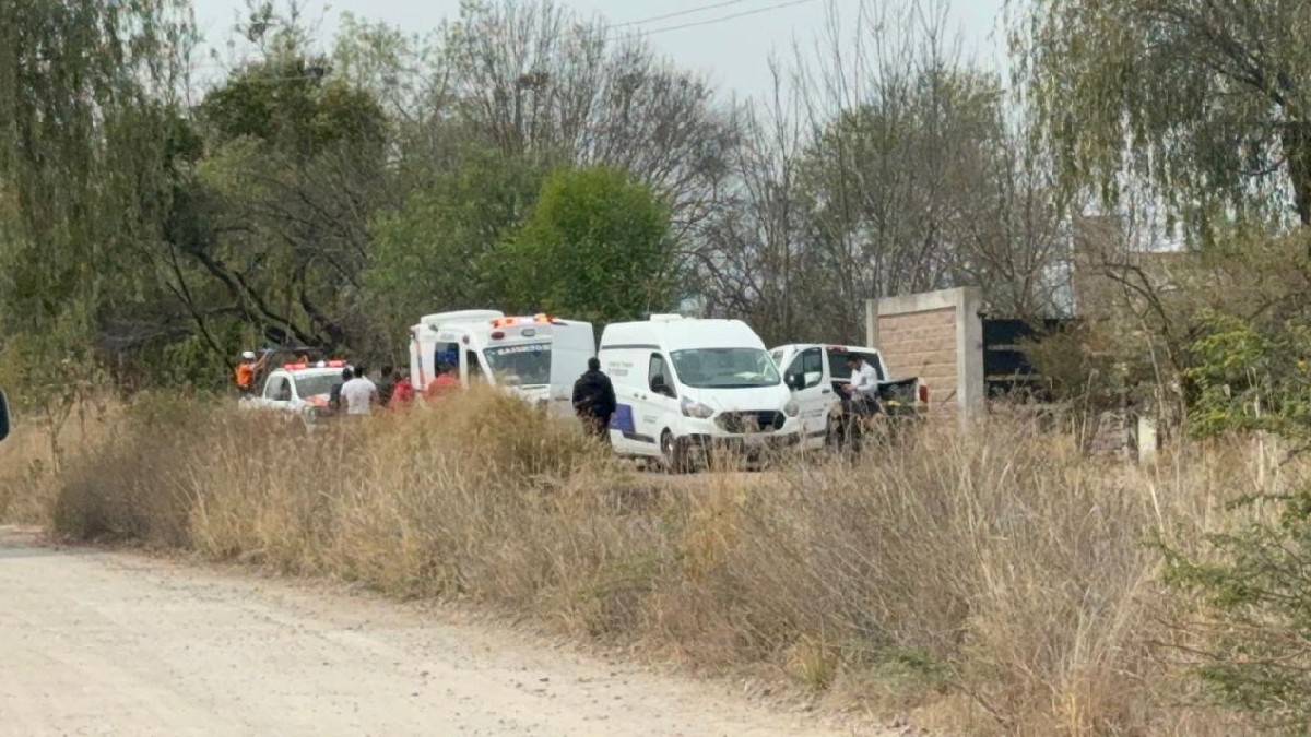 Hasta el cierre de esta información, no se reportan personas detenidas en ninguno de los casos, y las autoridades continúan con las investigaciones.