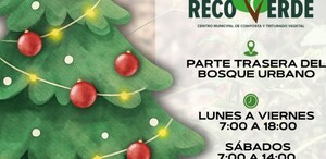 Autoridades municipales impulsan la recolección y reutilización de árboles navideños como una alternativa ecológica tras las fiestas decembrinas.