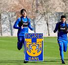 Joaquim Pereira, Rómulo Zwarg, Jesús Garza y Nicolás Ibáñez entrenando con Tigres el lunes 19 de enero de 2026.