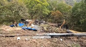 Tráiler volcado dentro de un barranco con maleza y alimentos para aves esparcido alrededor