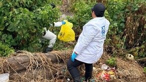 FGJ CdMx halla más de 10 cadáveres de perritos dentro del Refugio Franciscano; estaban semienterrados.