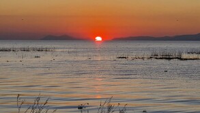 Lago de Chapala en crisis por contaminación.
