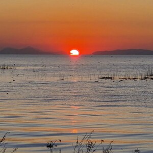 Lago de Chapala en crisis por contaminación.