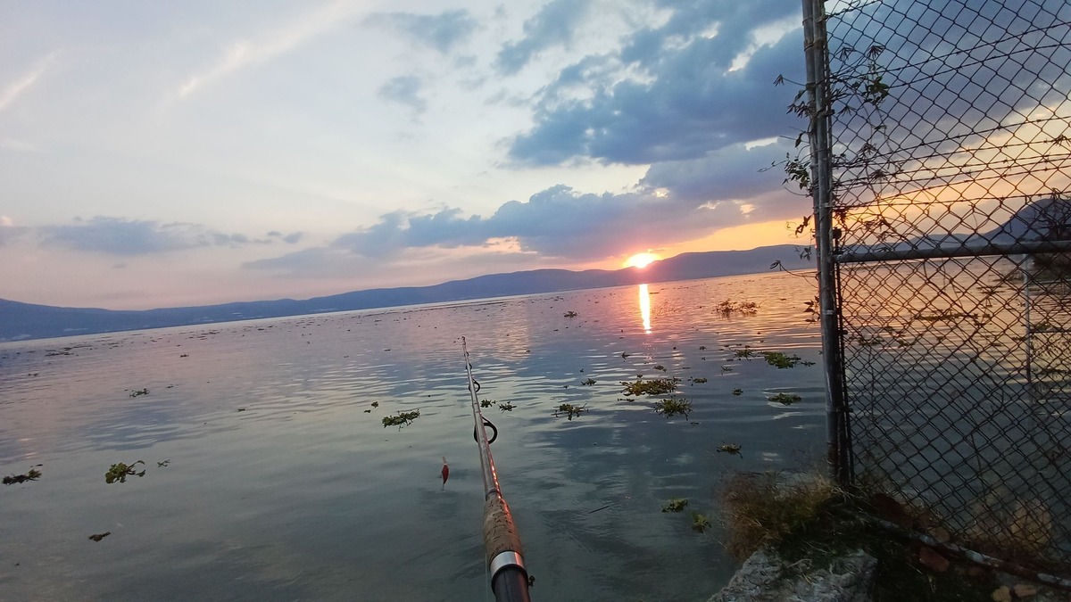 Lago de Chapala en crisis por contaminación.