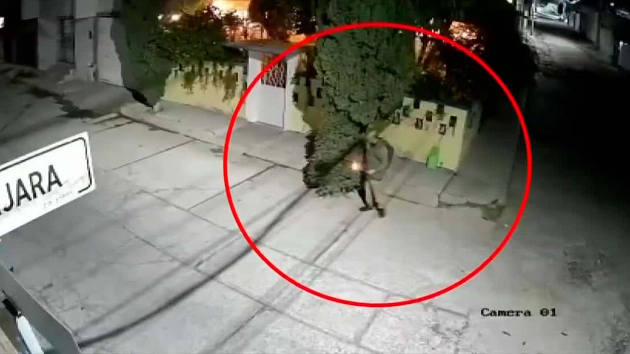 Un sujeto provocó un incendio durante la madrugada al prender fuego a un árbol de Navidad abandonado en la vía pública de Pachuca.