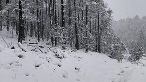 Imagen de la nevada en La Rosilla, Durango. La temperatura descendió hasta las -15 grados.
