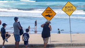 Adultos y niños caminando frente a letreros de alerta por tiburones y el cierre de playas frente al mar