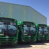 Fila de camiones de transporte público color verde (Ruta 614 / C37) estacionados frente a una bodega, bajo un cielo despejado y soleado.