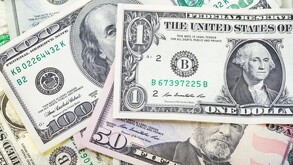 Dólar estadounidense junto con el peso mexicano.