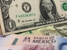 Dólar y pesos estadounidenses este domingo 25 de enero de 2026.