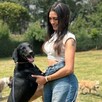 Mujer sosteniendo de las patas a un perro color negro mientas sonríe con otros perros paseando en el fondo en medio de un jardín