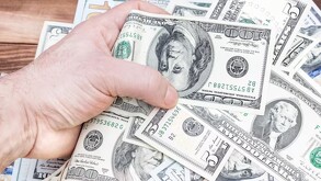 Persona sosteniendo un fajo de dólares estadounidenses.