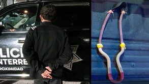 Los oficiales le pidieron que se detuviera para evitar el maltrato a los animales