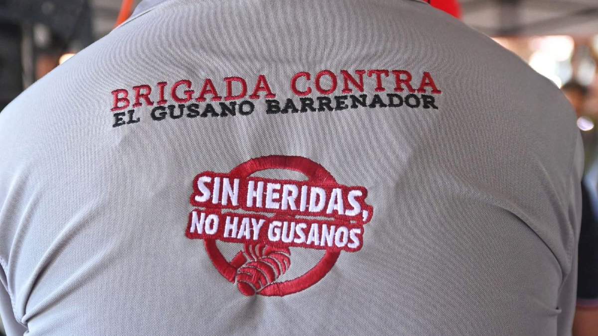 insignia de una brigada contra el gusano barrenador del ganado en oaxaca