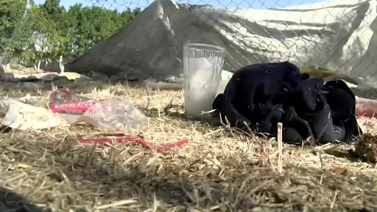 La gobernadora de Guanajuato afirmó que el ataque en un campo de futbol en Salamanca fue resultado de una disputa territorial entre grupos delictivos.