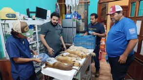 Envenenamiento de perrosmasivo en Oaxaca.