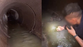 Video muestra cómo Personas ingresan y buscan tesoros en alcantarillas de Guadalajara