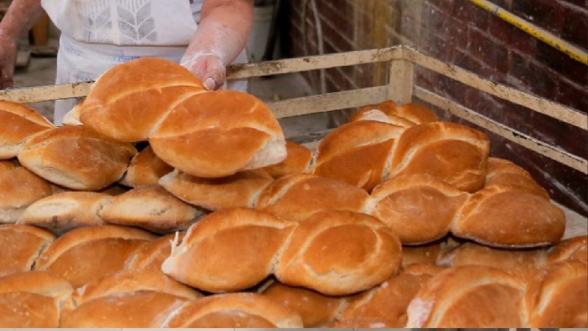 Pan francés en fotografía.