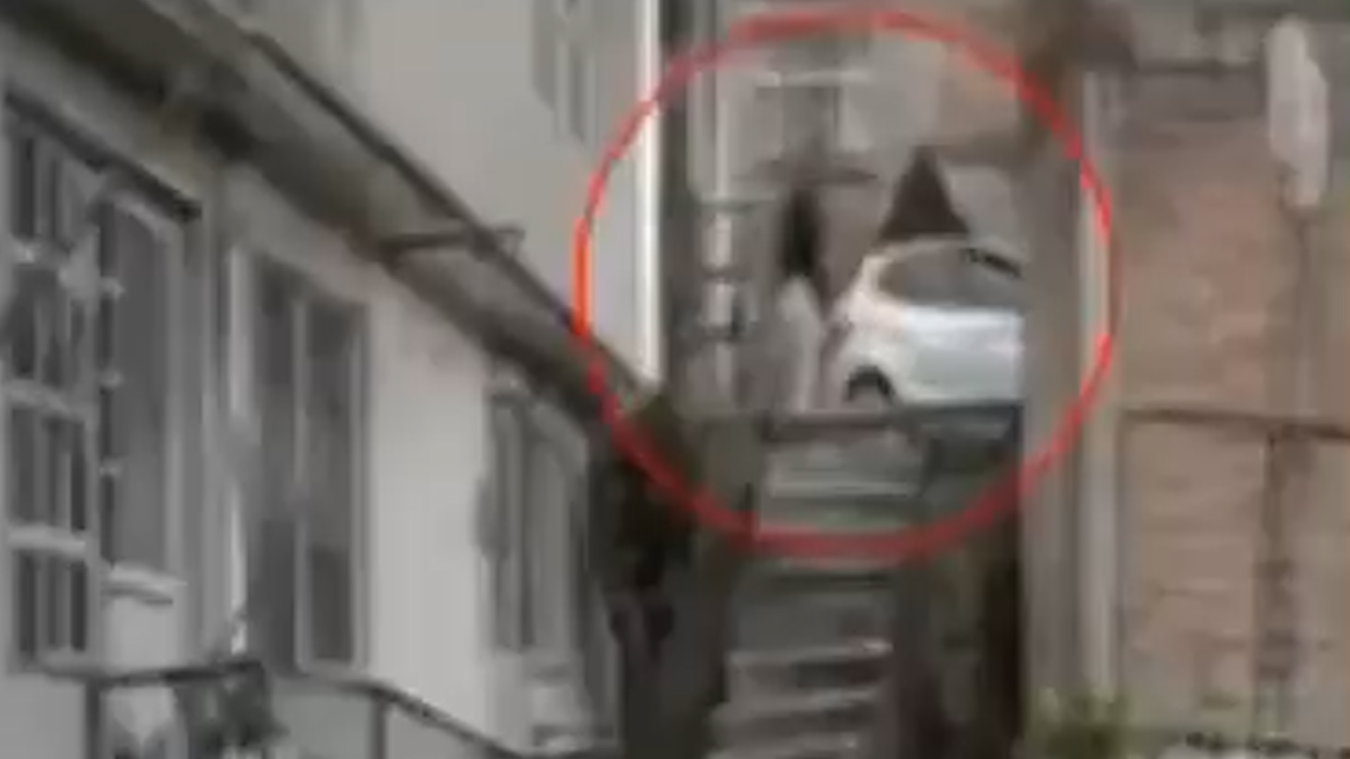 Un impactante video muestra a un hombre lanzando a un pitbull de 15 años desde una altura de 10 metros en Naucalpan.