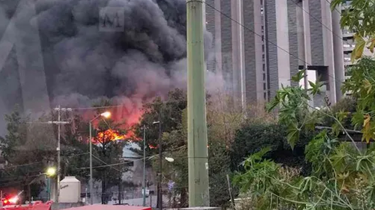 Programa conducido por Ana Laura Alanís, Liliana Sosa y David Medrano, jueves 29 de enero de 2026.