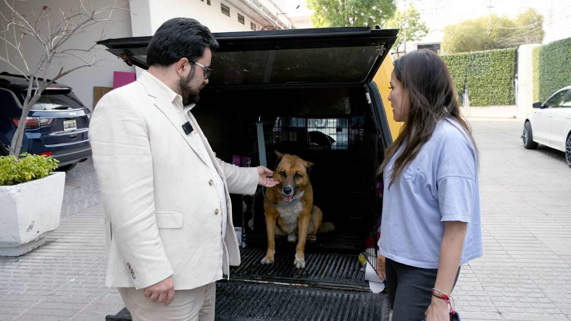 Veterinarios de la Asociación Mundo Patitas confirman fractura de cadera y exigen un castigo conforme a las leyes de protección animal en Edomex.