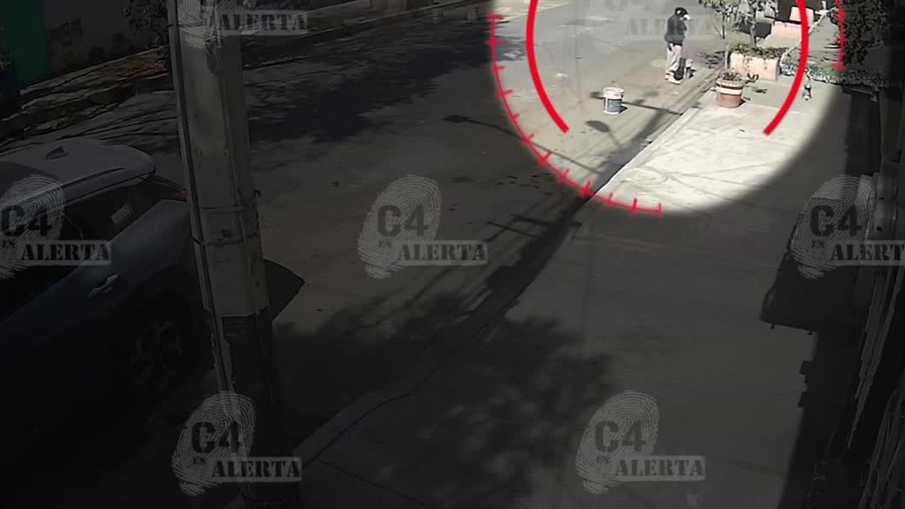 Cámaras de seguridad captaron el momento en que una joven se roba a un perrito que descansaba afuera de su casa en la colonia Aviación Civil.