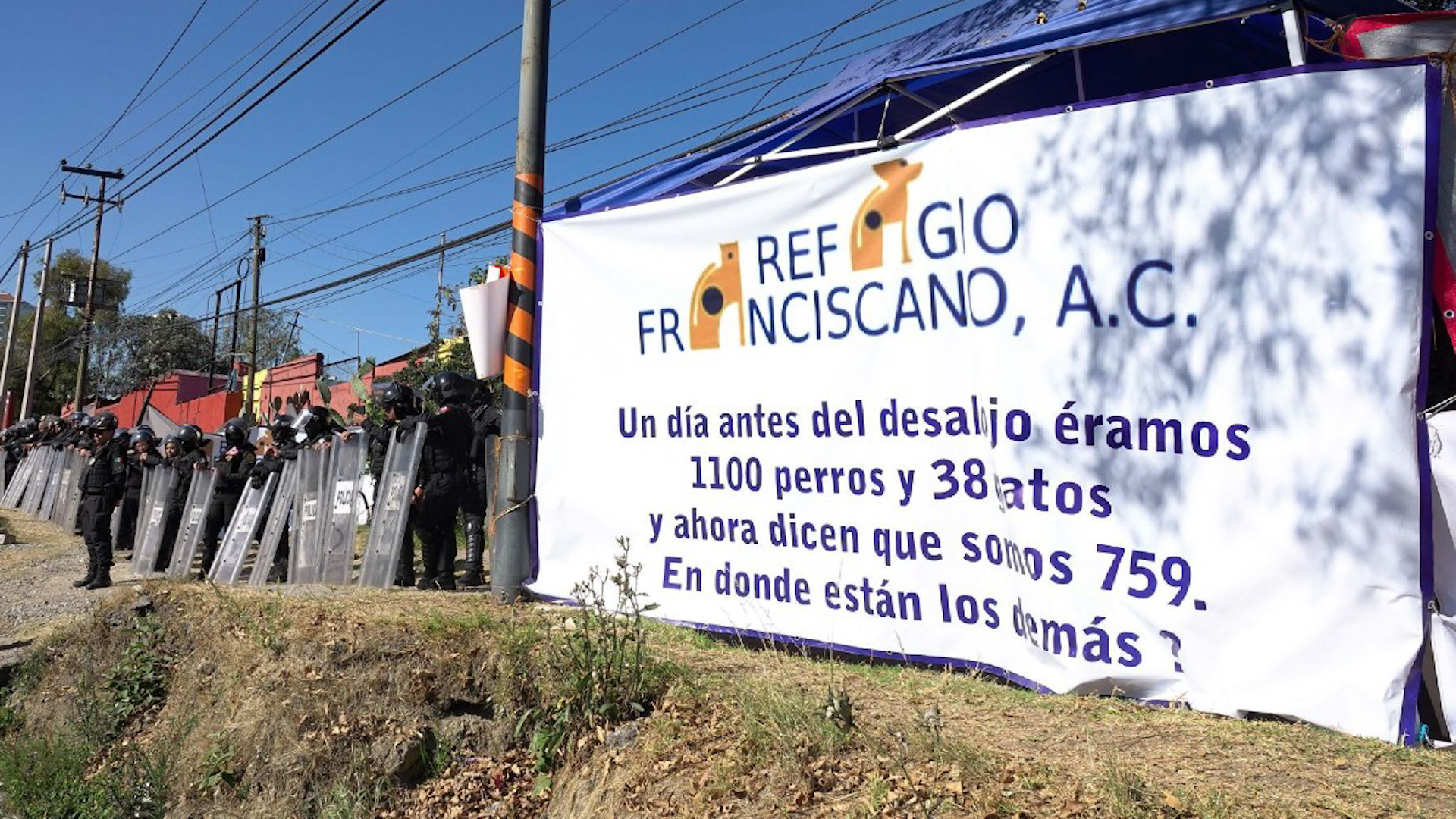 El gremio busca recuperar a los animales tras mesas de diálogo.