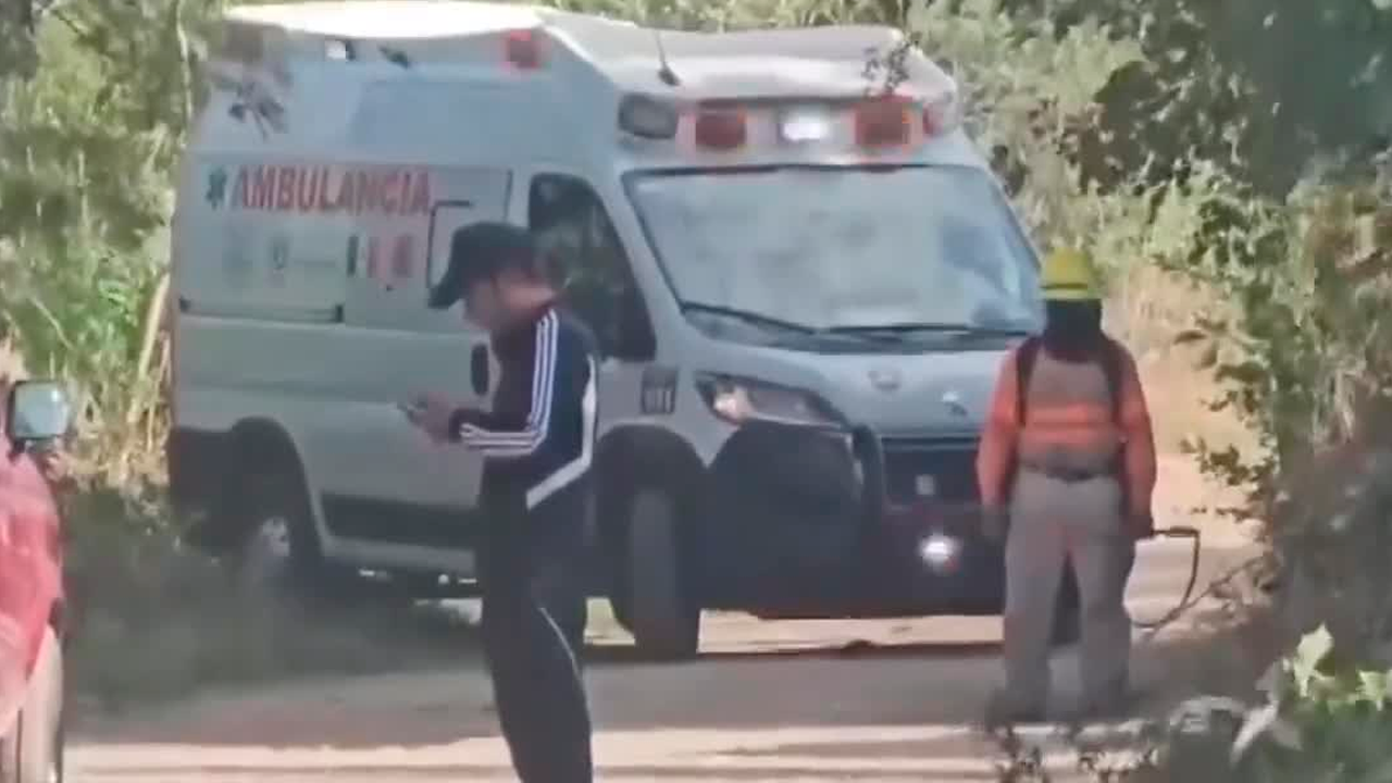Un ataque de abejas en la Ribera Las Flechas, Chiapa de Corzo, dejó un hombre de 86 años muerto y cuatro personas gravemente lesionadas.