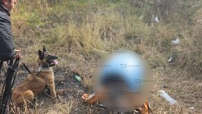 una mujer policía y un perro de búsqueda revisan un contenedor con restos humanos