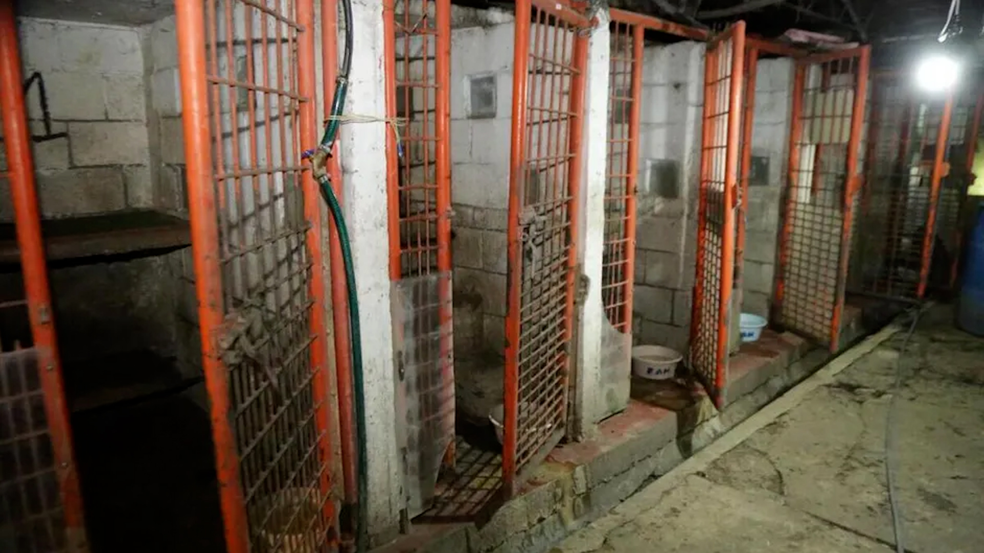 La directora del Refugio informó que este se encontraba en muy malas condiciones a su regreso.