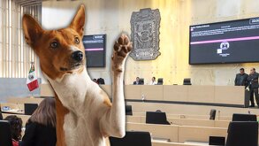 Un perro toca con una de sus patas el escudo de Puebla en el Congreso del estado.