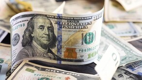 Dólares estadounidenses y su valor en pesos mexicanos.