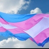 Bandera comunidad trans