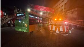 atropellado en monterrey