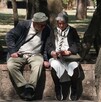 Pareja de adultos mayores en una banca al aire libre en la Ciudad de México.