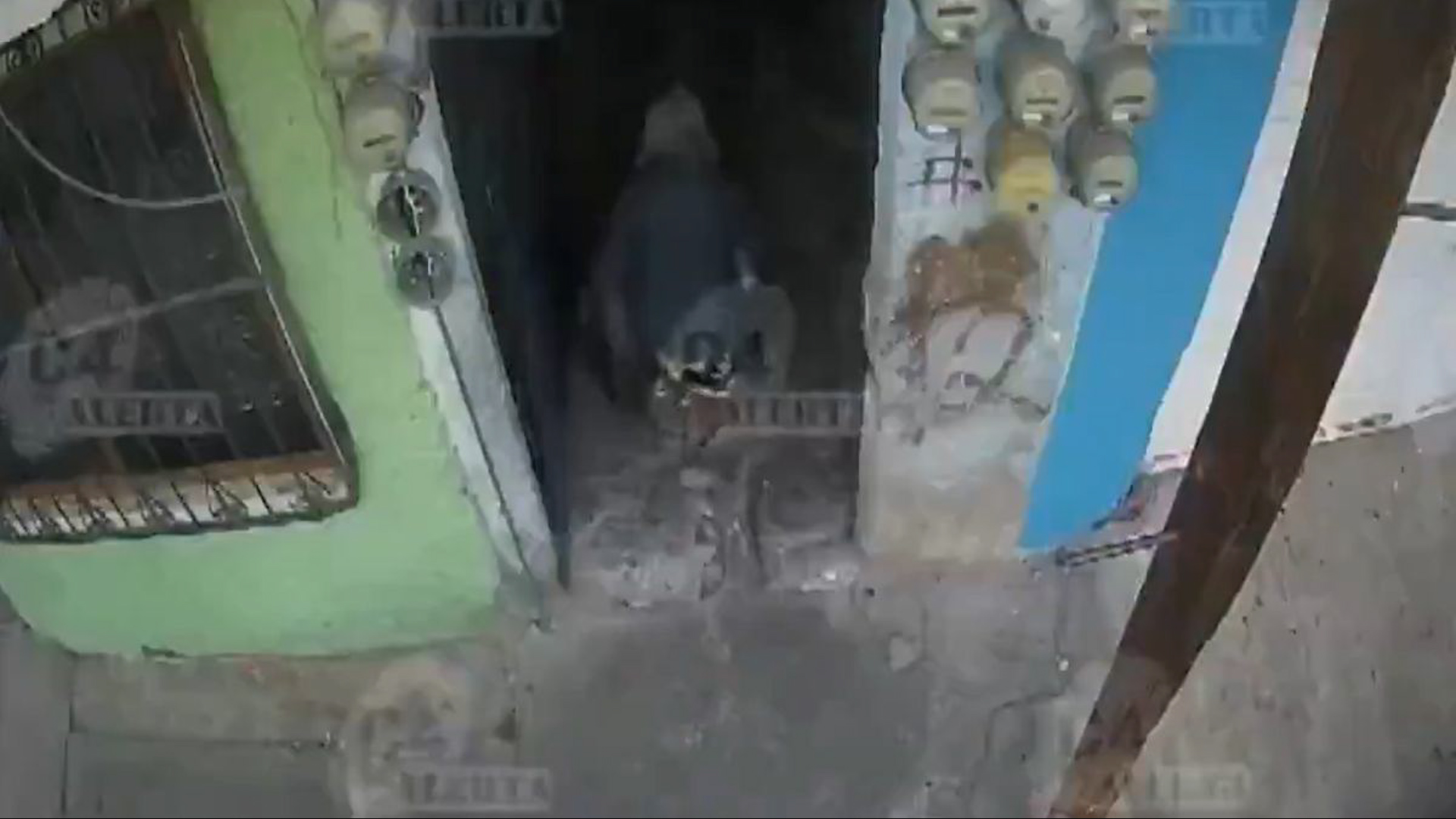 Programa conducido por Carlos Jiménez, martes 03 de febrero de 2026.