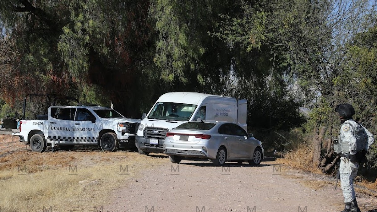 El fiscal indicó que estos hallazgos corresponden a una acumulación de restos de distintas temporalidades.