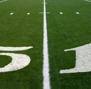 Foto genérica de la cancha de juego, césped verde.