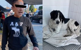 Collage de Cecilia N y Huesitos, perro maltratado en Zitácuaro Michoacán
