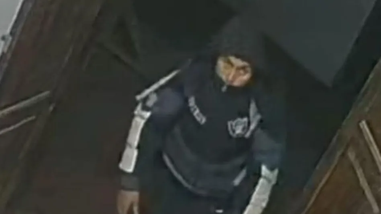 Delincuentes irrumpieron en el Conservatorio de Música de Zacatlán y robaron instrumentos y equipo valuados en unos 200 mil pesos.