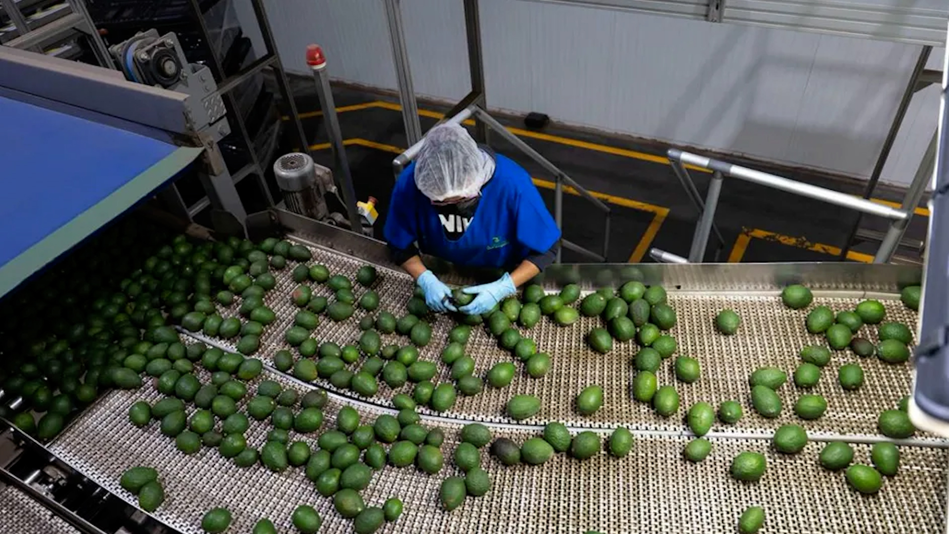 Los hechos ocurrieron en el cruce de las avenidas Fidel Velázquez y Manuel L. Barragán, frente a Ciudad Universitaria.